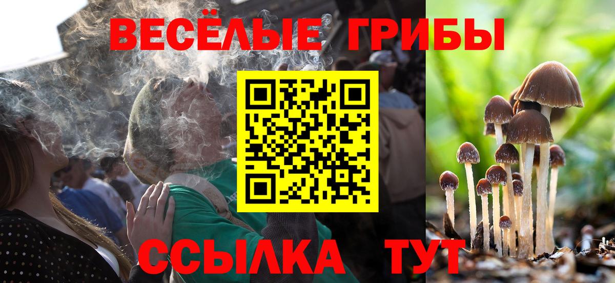 Богданович  Галлюциногенные грибы ЛСД  Вход с VPN 